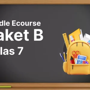 Paket B : Kelas 7